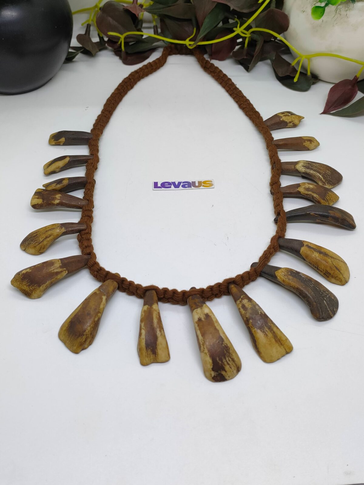 Vintage Tooth Necklace - Image 3